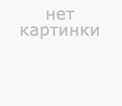 Условия и правила посещения спортивно-массовых и культурных мероприятий.